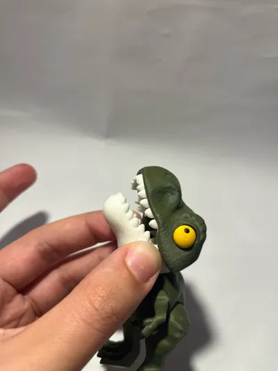 https://makerworld.bblmw.com/makerworld/model/606905/529821/ratings/5e813170-bfe0-11f0-acf1-bb50cc0ad4aa.jpg