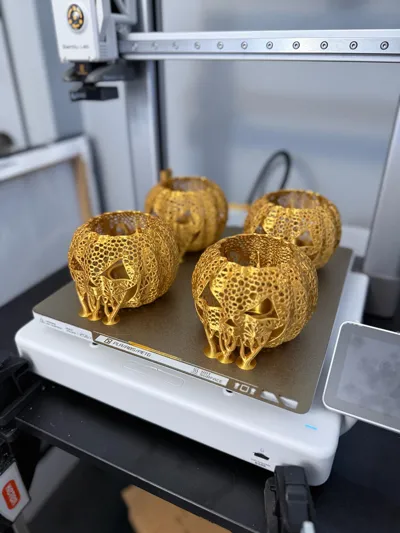 https://makerworld.bblmw.com/makerworld/model/608645/531634/ratings/bfdac060-11e6-11f0-802b-3d5f03adca55.jpg