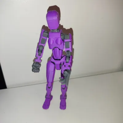 https://makerworld.bblmw.com/makerworld/model/609385/532387/ratings/5078d850-f86f-11ef-91fb-67c4584bddbf.jpg