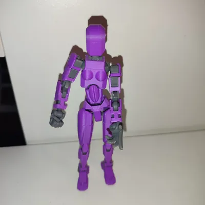 https://makerworld.bblmw.com/makerworld/model/609385/532387/ratings/50813cc0-f86f-11ef-91fb-67c4584bddbf.jpg