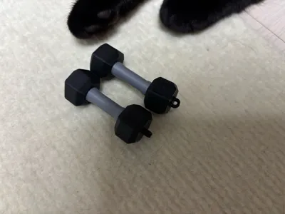 https://makerworld.bblmw.com/makerworld/model/614162/537516/ratings/7812fe70-79a9-11f0-b92a-d7ffe116a321.jpg