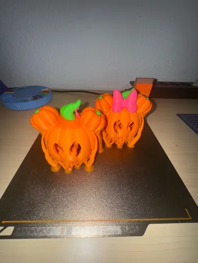 https://makerworld.bblmw.com/makerworld/model/614379/537756/ratings/5f4d3020-8b3f-11f0-ba0b-cb4b23e7eb0b.jpg