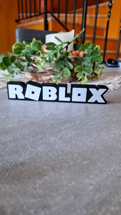 https://makerworld.bblmw.com/makerworld/model/614677/538035/ratings/a28e55d0-5f43-11f0-a01c-1fb6c9a2d81a.jpg