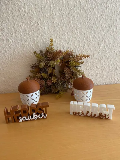 https://makerworld.bblmw.com/makerworld/model/615131/538495/ratings/95b7ee70-868f-11f0-9b73-37ed4b8f25ac.jpg
