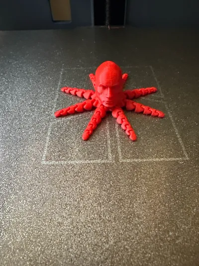 https://makerworld.bblmw.com/makerworld/model/615735/539166/ratings/1c839670-603e-11f0-9ffb-33e8a4ab00f0.jpg