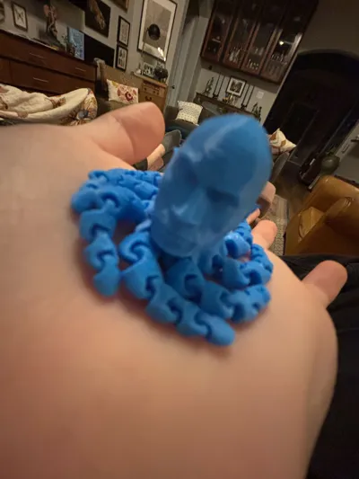 https://makerworld.bblmw.com/makerworld/model/615735/539166/ratings/35c23e90-3c2e-11f0-be9f-111e72949b96.jpg