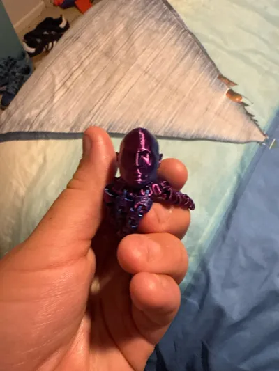 https://makerworld.bblmw.com/makerworld/model/615735/539166/ratings/961ea520-5c82-11f0-a25c-bbfa7bc36f32.jpg