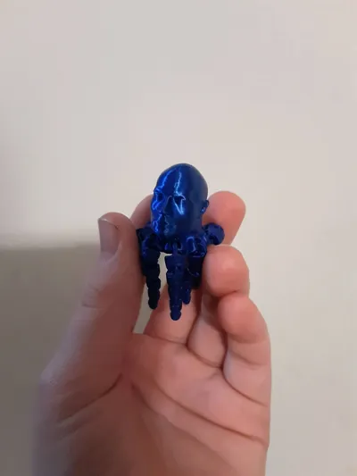 https://makerworld.bblmw.com/makerworld/model/615735/539166/ratings/a8c44880-f17c-11f0-a4a3-4b1bfc4467d1.jpg