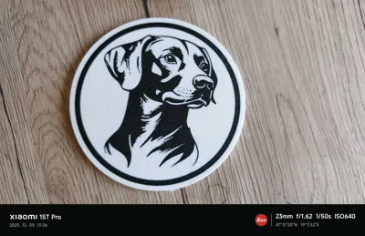 https://makerworld.bblmw.com/makerworld/model/616787/540366/ratings/19b4b6b0-d99a-11f0-9348-bd0421c7449e.jpg