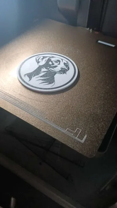 https://makerworld.bblmw.com/makerworld/model/616787/540366/ratings/38d49d50-1ce2-11f0-bfc3-c7af438799f6.jpg