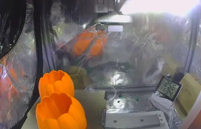 https://makerworld.bblmw.com/makerworld/model/620616/544616/ratings/ad83b6f0-a4bd-11f0-85f9-eda8083016d2.jpg