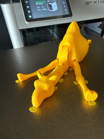 https://makerworld.bblmw.com/makerworld/model/620678/544681/ratings/8128ca20-1b90-11f0-b0d8-854a97b4c2d1.jpg