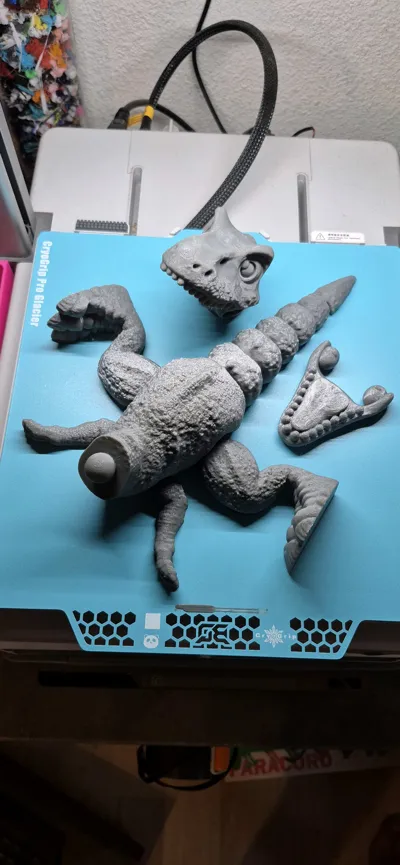 https://makerworld.bblmw.com/makerworld/model/622438/546593/ratings/bb4ce210-836c-11f0-b049-85509dd8c537.jpg