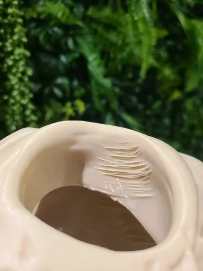 https://makerworld.bblmw.com/makerworld/model/623029/1870728/ratings/b9f19cf0-b9d4-11f0-add7-e7c7c28ef03c.jpg