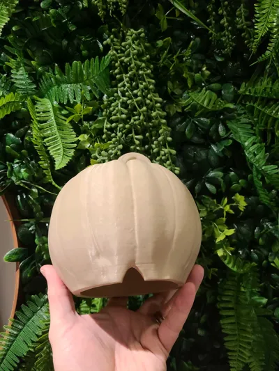 https://makerworld.bblmw.com/makerworld/model/623029/1870728/ratings/b9f853b0-b9d4-11f0-add7-e7c7c28ef03c.jpg