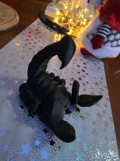 https://makerworld.bblmw.com/makerworld/model/62546/92302/ratings/a09093d0-e286-11f0-8100-65c2fcb7cbb8.jpg