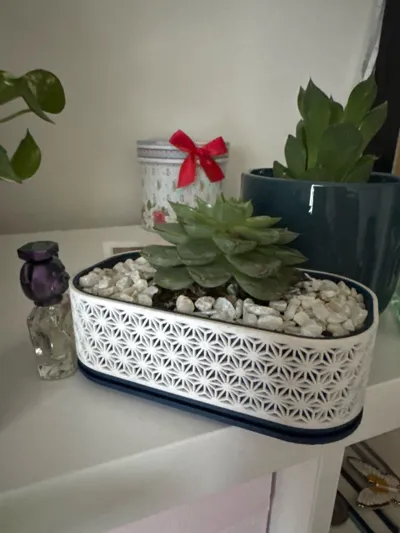 https://makerworld.bblmw.com/makerworld/model/626640/551183/ratings/c4b90ac0-50fb-11f0-91a0-0f869b0115b3.jpg