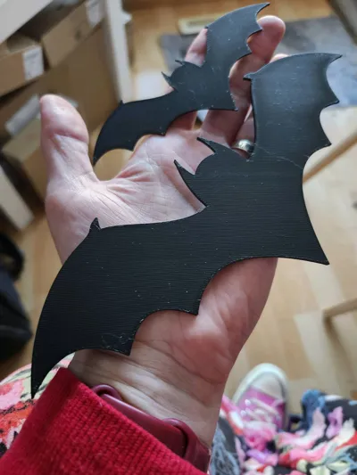 https://makerworld.bblmw.com/makerworld/model/626754/551294/ratings/151ee470-b778-11f0-b795-b3db92fa4f9c.jpg