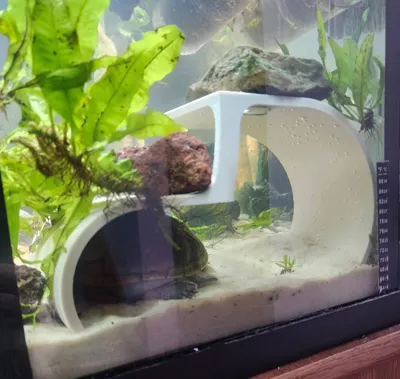 https://makerworld.bblmw.com/makerworld/model/627325/551874/ratings/b298edc0-0b63-11f0-9e21-6b1309604bde.jpg