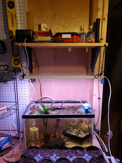 https://makerworld.bblmw.com/makerworld/model/630716/555597/ratings/d0a68420-211c-11f0-b165-0db7af1c5c82.jpg