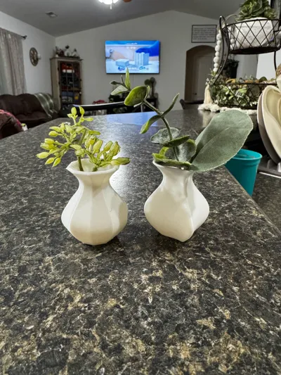 https://makerworld.bblmw.com/makerworld/model/631247/556166/ratings/9828cc00-ec98-11f0-a323-773526bb9cac.jpg