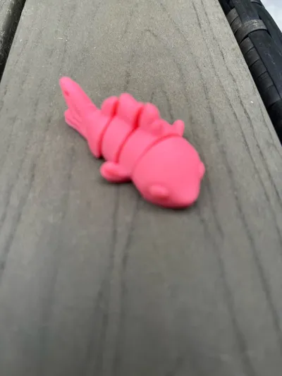https://makerworld.bblmw.com/makerworld/model/632026/562415/ratings/29da4040-49db-11f0-8331-b5210d93a00f.jpg