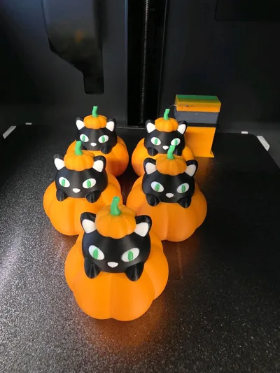https://makerworld.bblmw.com/makerworld/model/633427/558472/ratings/b841e920-7ab2-11f0-93ef-d75c0211ffc4.jpg