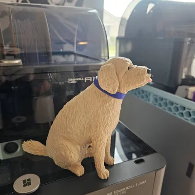 https://makerworld.bblmw.com/makerworld/model/63377/66228/ratings/3da10800-0dc4-11f0-bfcc-c51264a6ccbe.jpg