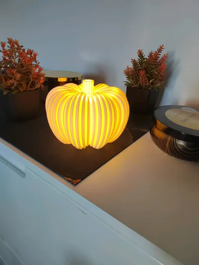 https://makerworld.bblmw.com/makerworld/model/633969/559121/ratings/b3401d50-a28c-11f0-993c-7fe401f788cc.jpg