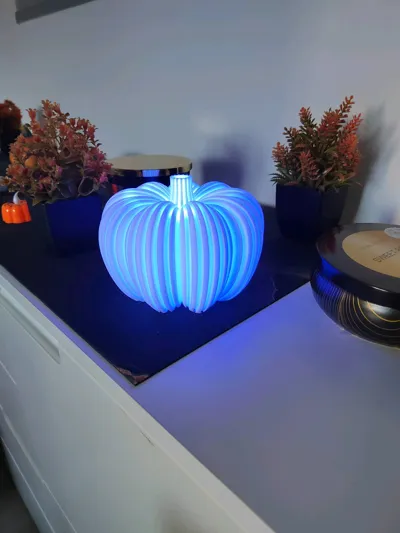 https://makerworld.bblmw.com/makerworld/model/633969/559121/ratings/b3409280-a28c-11f0-993c-7fe401f788cc.jpg