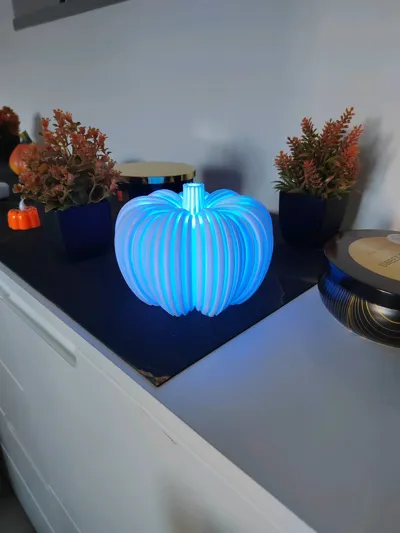 https://makerworld.bblmw.com/makerworld/model/633969/559121/ratings/b3424030-a28c-11f0-993c-7fe401f788cc.jpg