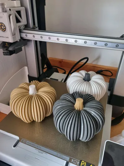 https://makerworld.bblmw.com/makerworld/model/633969/561565/ratings/7cc59c40-9590-11f0-9973-e50ae3b3248d.jpg