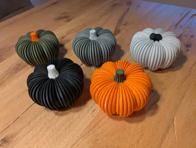 https://makerworld.bblmw.com/makerworld/model/633969/561565/ratings/8522ea20-8175-11f0-b6e1-65934f503e31.jpg