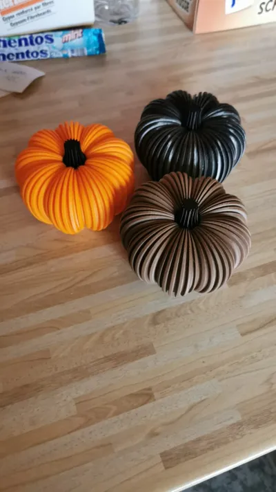 https://makerworld.bblmw.com/makerworld/model/633969/561565/ratings/efdf53a0-b161-11f0-832e-55b662392811.jpg