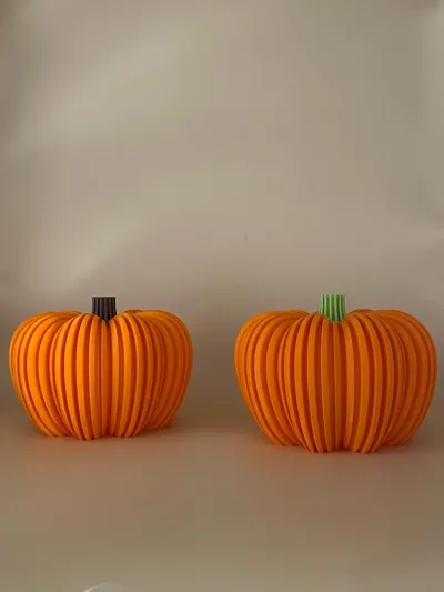 https://makerworld.bblmw.com/makerworld/model/633969/561576/ratings/c8799f60-a143-11f0-b376-658a90768525.jpg