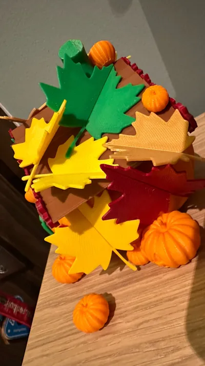 https://makerworld.bblmw.com/makerworld/model/634271/559473/ratings/39f83150-b4e6-11f0-864b-35f520b7c3d4.jpg