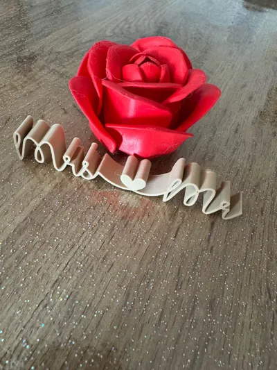 https://makerworld.bblmw.com/makerworld/model/636931/562291/ratings/9bf1a3b0-97fd-11f0-8b25-3f52e46e81a7.jpg