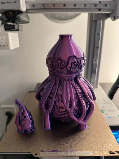 https://makerworld.bblmw.com/makerworld/model/637043/562441/ratings/dcb3f140-0f3c-11f0-a118-ef1477da4a6f.jpg