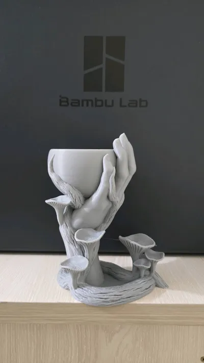 https://makerworld.bblmw.com/makerworld/model/638020/607664/ratings/82f7c1a0-52a2-11f0-b19e-db5639542728.jpg
