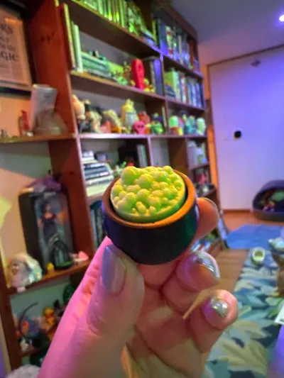 https://makerworld.bblmw.com/makerworld/model/638176/570749/ratings/80520410-5626-11f0-b6a1-c5bd6cfabd34.jpg