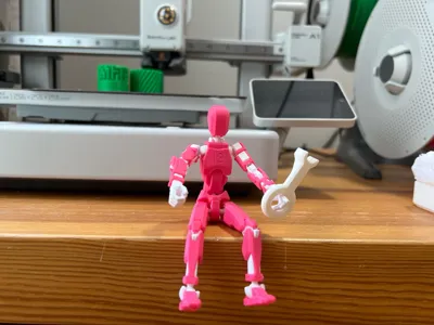 https://makerworld.bblmw.com/makerworld/model/638587/1225368/ratings/1d8d2190-a476-11f0-9df8-65c9a492678a.jpg