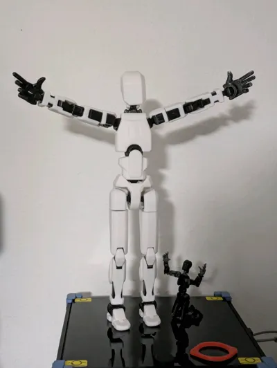 https://makerworld.bblmw.com/makerworld/model/638587/1268984/ratings/72382a40-504e-11f0-a7c5-01b64894e837.jpg