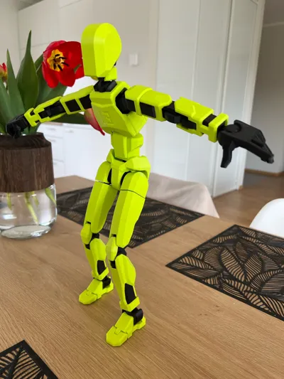 https://makerworld.bblmw.com/makerworld/model/638587/1268984/ratings/ca5653e0-28cc-11f0-a9ba-9de398650940.jpg