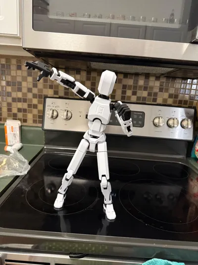 https://makerworld.bblmw.com/makerworld/model/638587/1268984/ratings/d80dc320-d2cb-11f0-9aa5-d5c11a53de7e.jpg