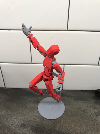 https://makerworld.bblmw.com/makerworld/model/638587/564186/ratings/049f0ee0-b1e7-11f0-8653-0b7fc4ce8b78.jpg