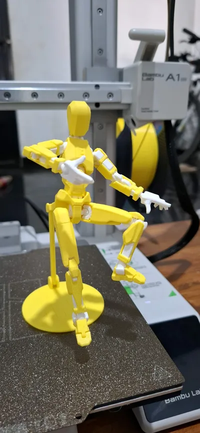 https://makerworld.bblmw.com/makerworld/model/638587/564186/ratings/0bf72100-9d38-11f0-af08-b37a6291a123.jpg