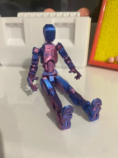 https://makerworld.bblmw.com/makerworld/model/638587/564186/ratings/1373c810-a225-11f0-bfec-6bc20f5af32f.jpg