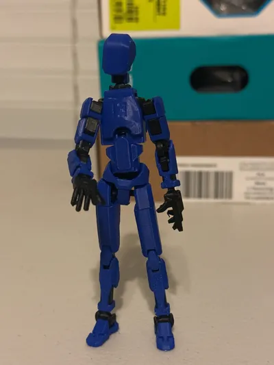 https://makerworld.bblmw.com/makerworld/model/638587/564186/ratings/14547300-e911-11f0-b3b0-2725e1ba0df1.jpg