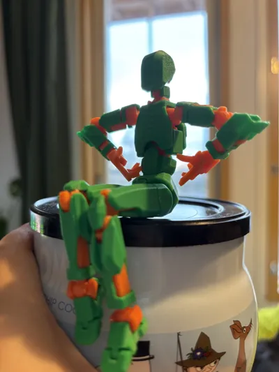 https://makerworld.bblmw.com/makerworld/model/638587/564186/ratings/2e3c47d0-027f-11f0-bf81-9fa34c05d726.jpg
