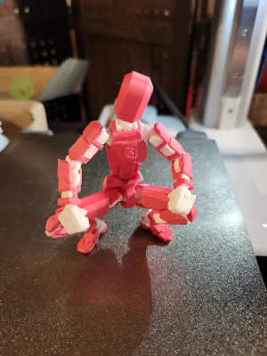 https://makerworld.bblmw.com/makerworld/model/638587/564186/ratings/548fc1d0-fe9e-11ef-a92b-a94883a9f636.jpg